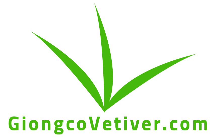 Giongcovetiver.com